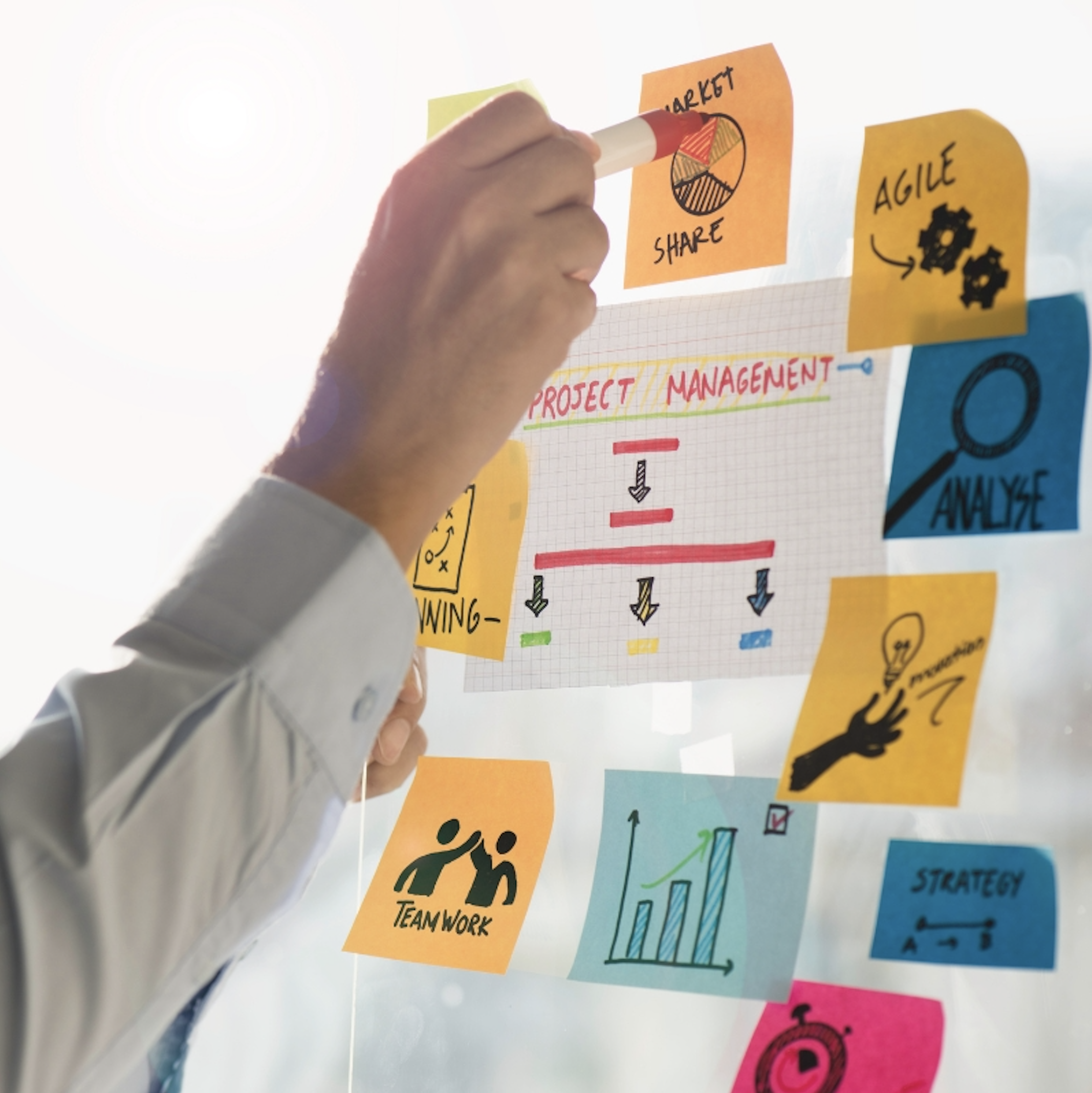 Procurement and Project Coordinator
