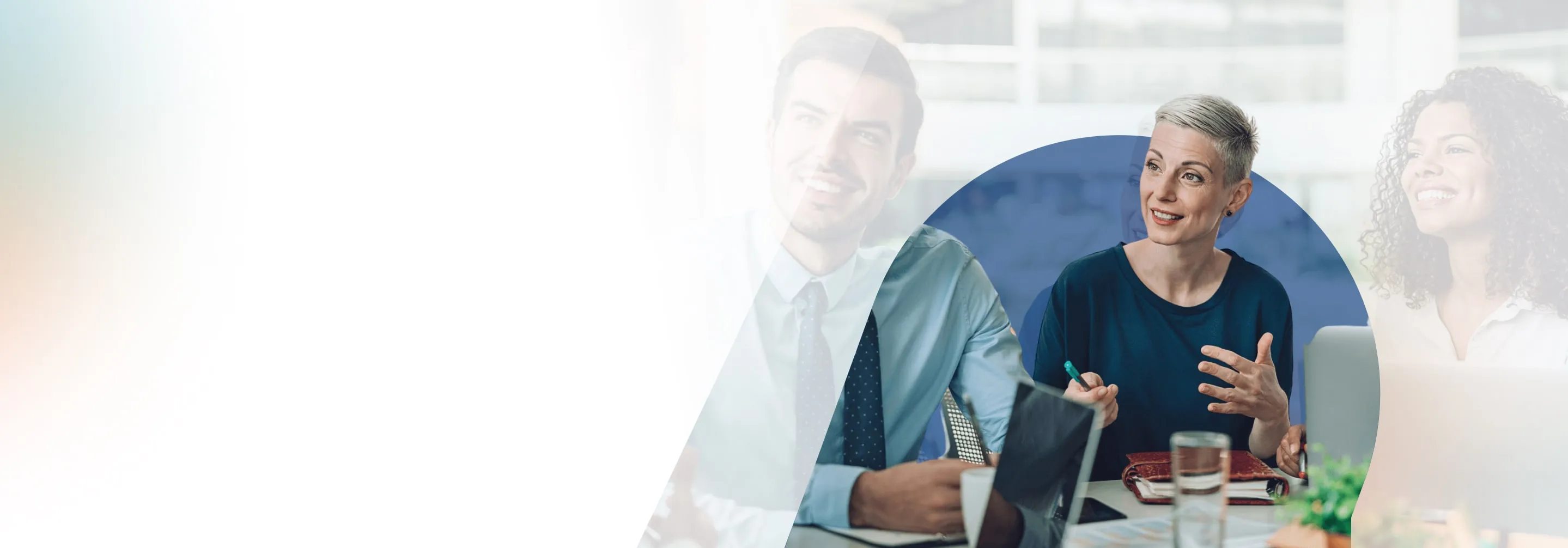 Istraživanje plaća, tržišta i kompanija