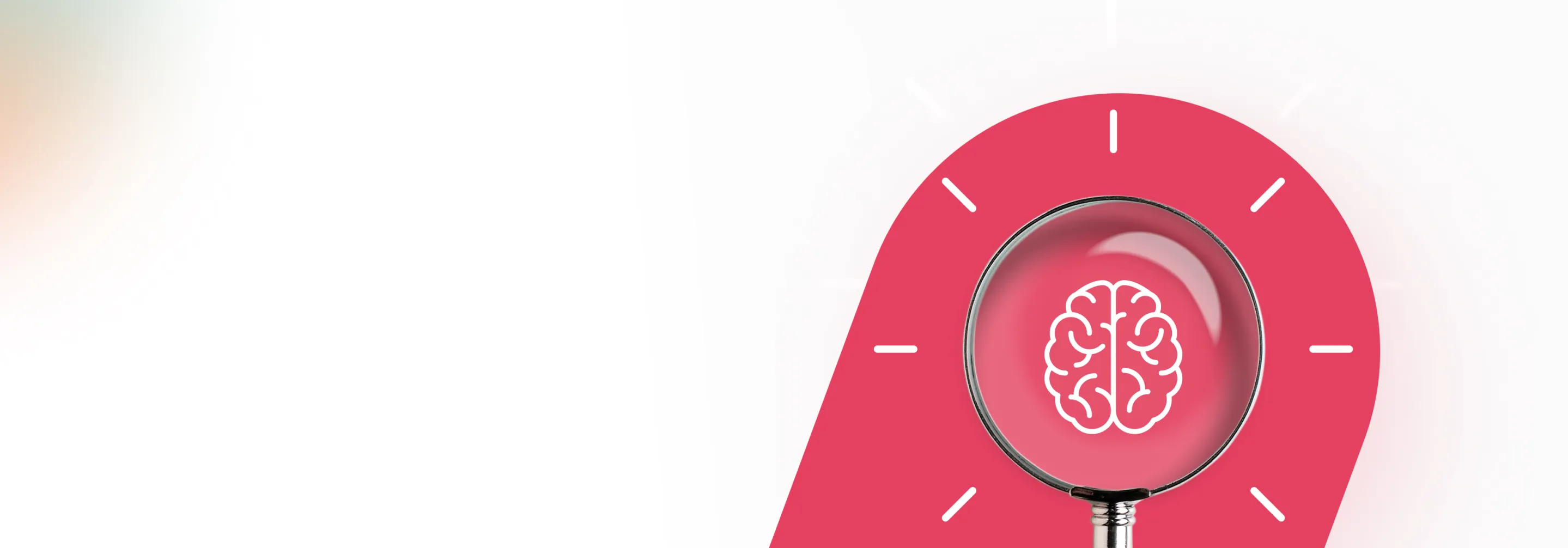 Knowledge Corner New